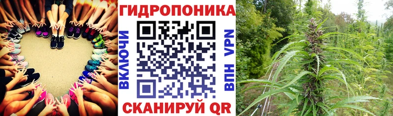 Канабис планчик  наркошоп  Протвино 